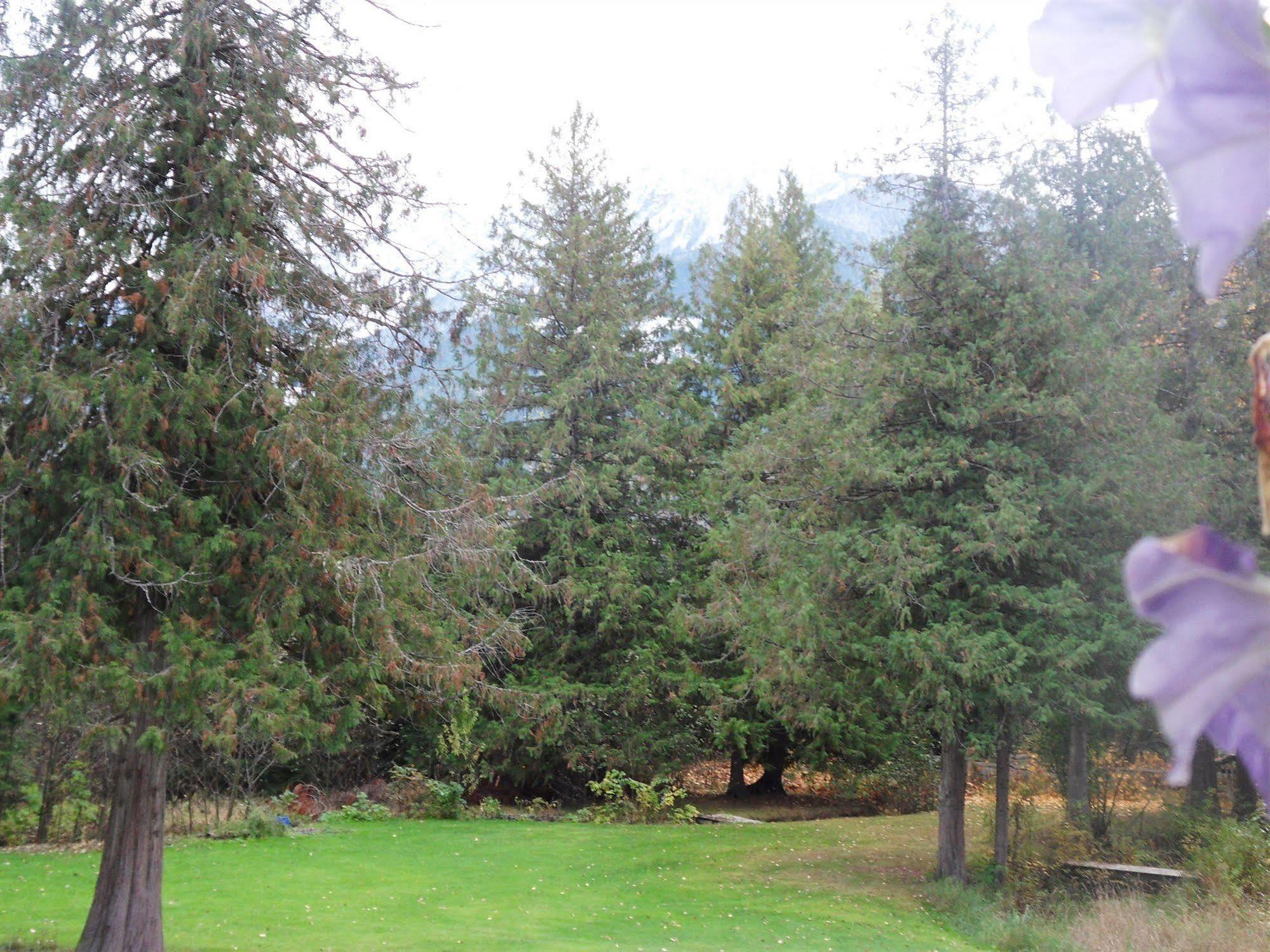 The Hitching Post Motel Pemberton Bagian luar foto